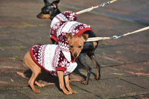 Dog clothes RED&White